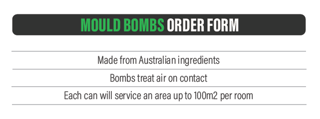 SAN-AIR Mould Bomb 160g